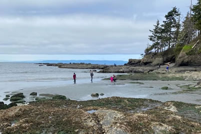 family at the beach